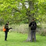 Volunteers Ian and Graeme inspecting trees