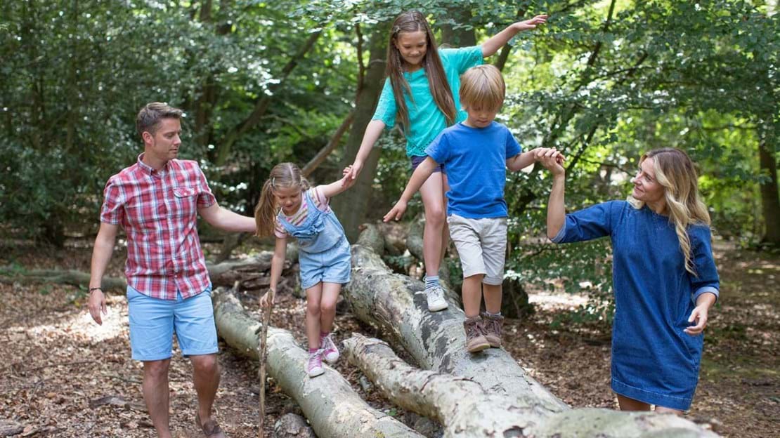Family walking along a fallen tree in a summer woodland