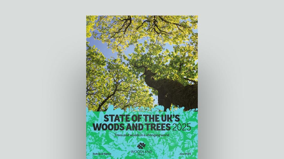 State of the UK’s Woods and Trees 2025 document cover