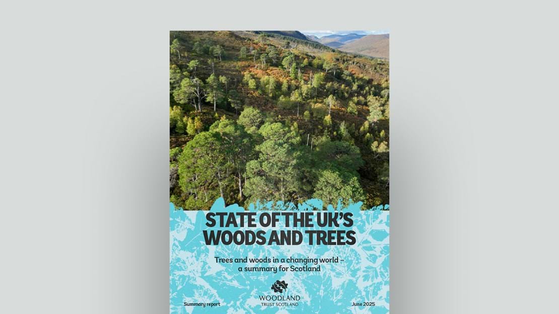 State Of The UK’S Woods And Trees 2025 Scotland Document Cover