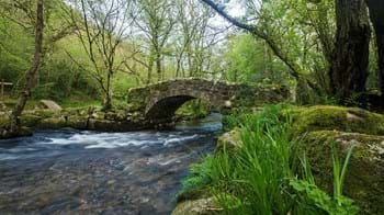 Packhorse stone bridge over river, Bovey Valley Woods