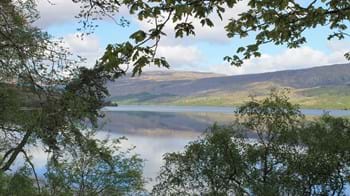 View of Loch Arkaig through trees