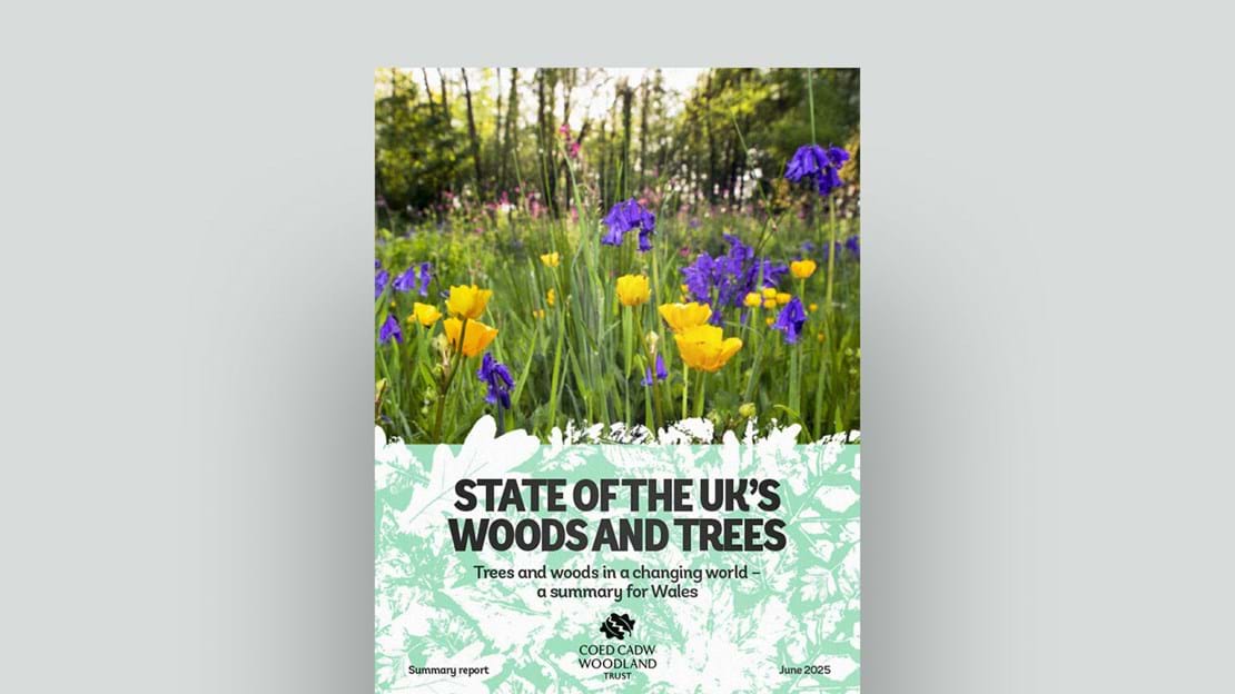 State Of The UK’S Woods And Trees 2025 Wales Document Cover