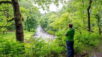 Outlook over River Dart at Ausewell Wood