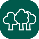 White icon on green background showing three trees